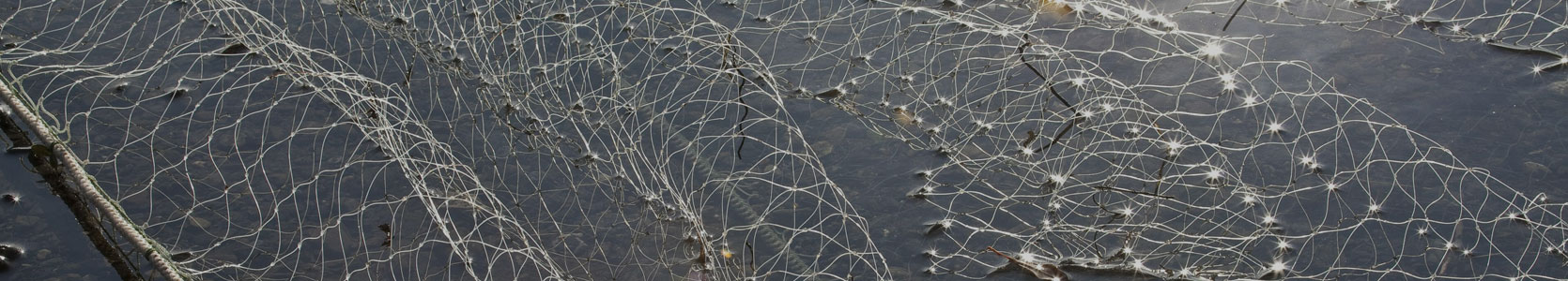 Fishing net in the water.