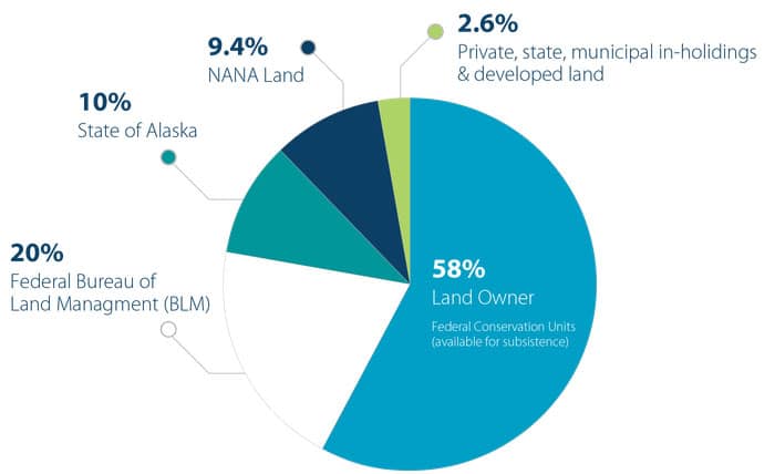 Pie Chart showing the percentage of Alaska land owners. 9.4% of all Alaska lands are NANA.